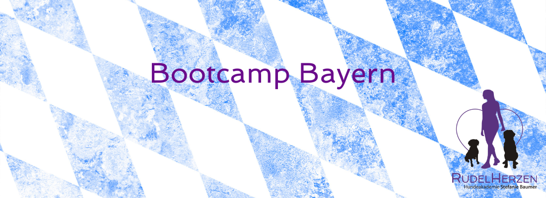 Bootcamp Bayern